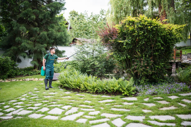 Professional Pest Control in Mountlake Terrace, WA