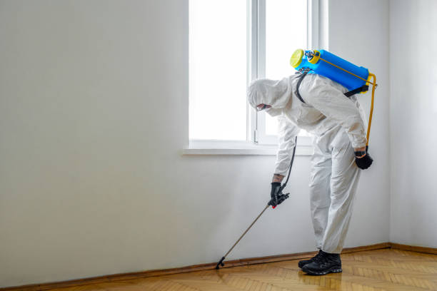 Pest Prevention Services in Mountlake Terrace, WA