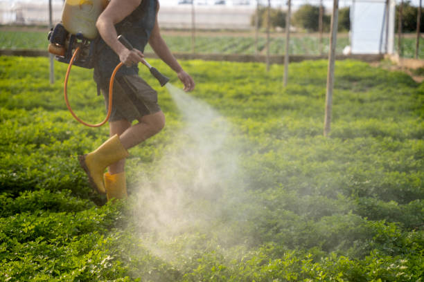 Best Pest Inspection Near Me  in Mountlake Terrace, WA