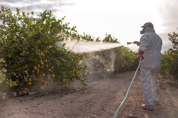 Best Pest Removal Services  in Mountlake Terrace, WA